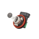2 PZ Lampada Alogena Auto H11 12V 55W PGJ19-2 Trasparente Marca Carall