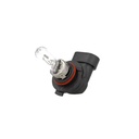 2 PZ Lampada Alogena Auto HB3 9005 12V 65W P20d Trasparente Marca CARALL