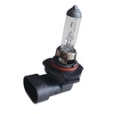 2 PZ Lampada Alogena Auto H10 12V 42W PY20d Trasparente Marca CARALL