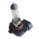 2 PZ Lampada Alogena Auto H10 12V 42W PY20d Trasparente Marca CARALL