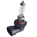 2 PZ Lampada Alogena Auto H12 12V 53W PZ20d Trasparente Marca CARALL