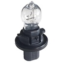 2 PZ Lampada Alogena HPC16W 12V 16W Trasparente Marca CARALL