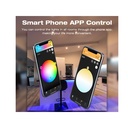 Mini ZigBee Controller 12V 24V 5 In 1 Per Striscia Led Da Mono Colore Fino a 5 Canali Con Philips HUE 3.0 e Amazon Alexa Echo (4ª generazione) o Echo Studio