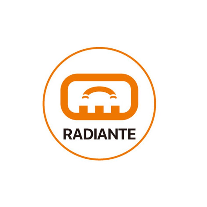 Spina Alimentatore Trasformatore Raddrizzatore 2 Pin Passo 12mm Modello Piatto Con Interruttore Connettore Rapido Per Striscia Led 220V Mono Colore