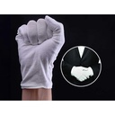 12 Paia Guanti Cotone Bianco Taglia XL 10