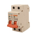 MCB Interruttore Magnetotermico Automatico Curva B 2P 2M 6000A B50A AC 400V IP20 IEC60898-1