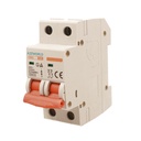 MCB Interruttore Magnetotermico Automatico Curva C 2P 2M 6000A C25A AC 400V IP20 SB6L