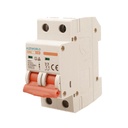 MCB Interruttore Magnetotermico Automatico Curva C 2P 2M 6000A C40A AC 400V IP20 SB6L