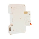 MeanWell RCBO Interruttore Magnetotermico Differenziale Tipo AC Curva C 1P+N 1M 6000A 30mA C32A AC 230V IP20 IEC61009-1