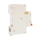 RCBO Interruttore Magnetotermico Differenziale Tipo AC Curva C 1P+N 1M 6000A 30mA C32A AC 230V IP20 IEC61009-1