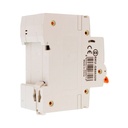 MeanWell RCBO Interruttore Magnetotermico Differenziale Tipo A Curva C 1P+N 2M 6000A 30mA C20A AC 230V IP20 IEC61009-1