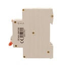RCBO Interruttore Magnetotermico Differenziale Tipo A Curva C 1P+N 1M 6000A 30mA C6A AC 230V IP20 IEC61009-1 PL8HT GB57306
