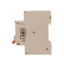 RCBO Interruttore Magnetotermico Differenziale Tipo A Curva C 1P+N 1M 6000A 30mA C16A AC 230V IP20 IEC61009-1 PL8HT GB57316