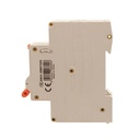 RCBO Interruttore Magnetotermico Differenziale Tipo A Curva C 1P+N 1M 6000A 30mA C25A AC 230V IP20 IEC61009-1 PL8HT GB57325