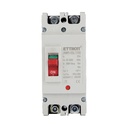 ETTROIT MCCB Interruttori Scatolati Magnetotermici DC Fotovoltaico 2P 10kA 125A DC 500V IP20 IEC60947-2