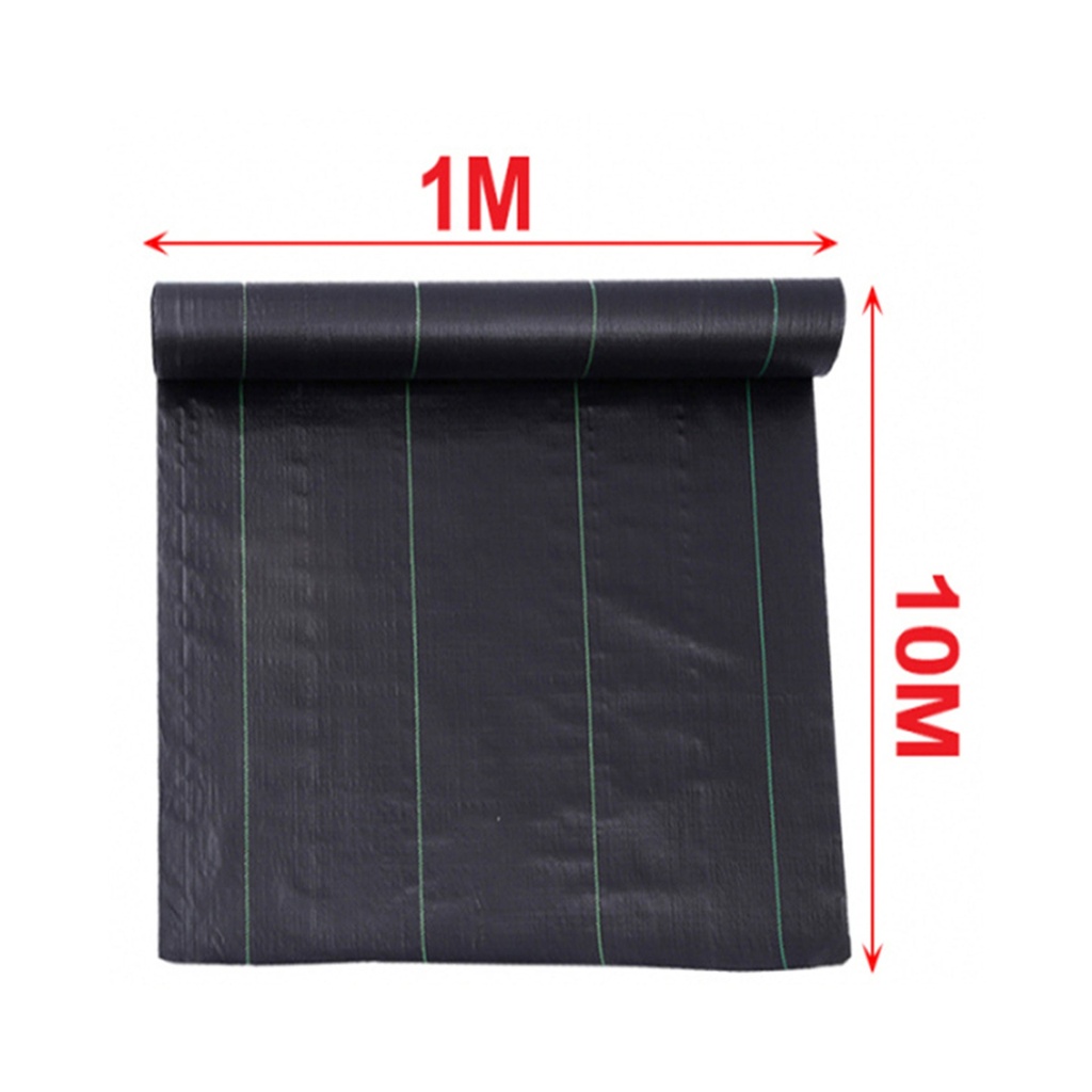 Telo Pacciamatura Antierba Traspirante 1X10M, Permeabile all’Acqua, in PP Resistente ai Raggi UV, Facile da Tagliare e Installare, Protezione Ecologica contro le Erbacce