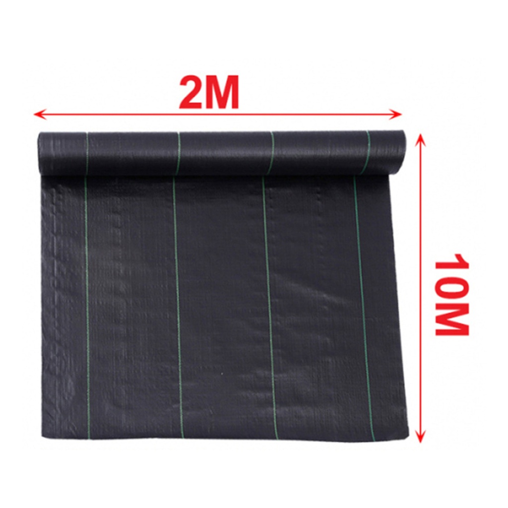 Telo Pacciamatura Antierba Traspirante 2X10M, Permeabile all’Acqua, in PP Resistente ai Raggi UV, Facile da Tagliare e Installare, Protezione Ecologica contro le Erbacce