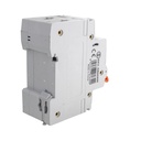 MeanWell RCBO Interruttore Magnetotermico Differenziale Tipo A Curva C 1P+N 2M 6000A 300mA C6A AC 230V IP20 IEC61009-1