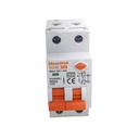MeanWell RCBO Interruttore Magnetotermico Differenziale Tipo A Curva C 1P+N 2M 6000A 300mA C16A AC 230V IP20 IEC61009-1