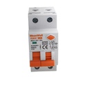 MeanWell RCBO Interruttore Magnetotermico Differenziale Tipo A Curva C 1P+N 2M 6000A 300mA C25A AC 230V IP20 IEC61009-1