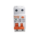 MeanWell RCBO Interruttore Magnetotermico Differenziale Tipo A Curva C 1P+N 2M 6000A 300mA C32A AC 230V IP20 IEC61009-1