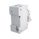MeanWell RCBO Interruttore Magnetotermico Differenziale Tipo A Curva C 1P+N 2M 6000A 300mA C32A AC 230V IP20 IEC61009-1