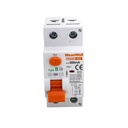 MeanWell RCCB Interruttore Differenziale Puro Tipo B 1P+N 2M 10000A 300mA 40A AC 230V IP20 IEC61008-1 / IEC62423