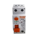 MeanWell RCCB Interruttore Differenziale Puro Tipo B 1P+N 2M 10000A 300mA 100A AC 230V IP20 IEC61008-1 / IEC62423
