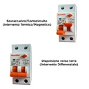 MeanWell RCBO Doppia Leva, Interruttore Magnetotermico Differenziale Tipo A Curva C 1P+N 2M 6000A 30mA C20A AC 230V IP20 IEC61009-1 PL8HM