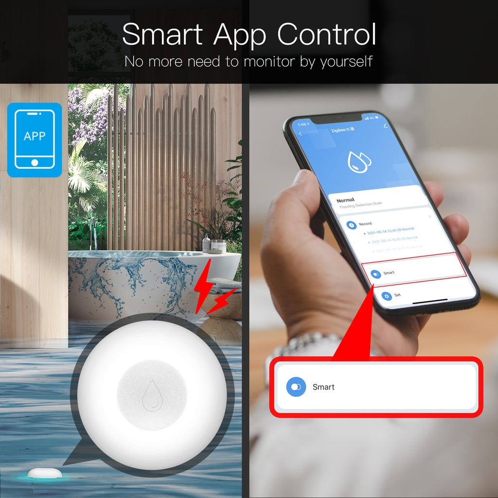 MeanWell Sensore Perdita Acqua Rilevatore di Allagamento ZigBee Protocollo ZigBee 3.0 TUYA, Smart Life CR2032 IP20