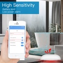 MeanWell Sensore Perdita Acqua Rilevatore di Allagamento ZigBee Protocollo ZigBee 3.0 TUYA, Smart Life CR2032 IP20