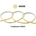 24V Striscia Led COB IP65 11W/M Bianco Neutro 4000K Da 5 Metri 480LED/M 806LM/M CRI≥90 W8*H4.5mm 180° 