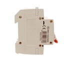 MCB Interruttore Magnetotermico Automatico Curva B 2P 2M 6000A B50A AC 400V IP20 SB6L