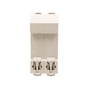 MCB Interruttore Magnetotermico Automatico Curva B 2P 2M 6000A B50A AC 400V IP20 SB6L