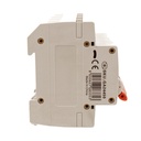 MCB Interruttore Magnetotermico Automatico Curva B 4P 4M 6000A B50A AC 400V IP20 SB6L