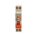 A2ZWORLD MCB Interruttore Magnetotermico Automatico Curva B 1P+N 1M 6000A B16A AC 230V IP20 IEC60898-1 PN8H