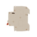 MCB Interruttore Magnetotermico Automatico Curva B 1P+N 1M 16A AC 230V PN8H