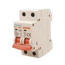 MCB Interruttore Magnetotermico Automatico Curva C 2P 2M 6000A C10A AC 400V IP20 SB6L