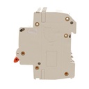 MCB Interruttore Magnetotermico Automatico Curva D 4P 4M 10000A D50A AC 400V IP20 PB8H