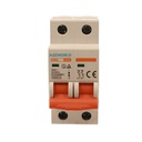 A2ZWORLD MCB Interruttore Magnetotermico Automatico Curva C 2P 2M 6000A C32A AC 400V IP20 IEC60898-1 SB6L