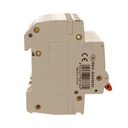 A2ZWORLD MCB Interruttore Magnetotermico Automatico Curva D 4P 4M 10000A D32A AC 400V IP20 IEC60898-1 PB8H