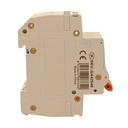 A2ZWORLD MCB Interruttore Magnetotermico Automatico Curva D 2P 2M 10000A D40A AC 400V IP20 IEC60898-1 PB8H