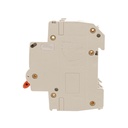 MCB Interruttore Magnetotermico Automatico Curva C 2P 2M 10000A C16A AC 400V IP20 PB8H