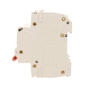 MCB Interruttore Magnetotermico Automatico Curva D 2P 2M 10000A D32A AC 400V IP20 PB8H