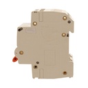 A2ZWORLD MCB Interruttore Magnetotermico Automatico Curva C 2P 2M 10000A C40A AC 400V IP20 IEC60898-1 PB8H
