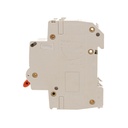 MCB Interruttore Magnetotermico Automatico Curva C 2P 2M 10000A C50A AC 400V IP20 PB8H