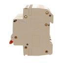 A2ZWORLD MCB Interruttore Magnetotermico Automatico Curva C 4P 4M 10000A C10A AC 400V IP20 IEC60898-1 PB8H