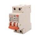 A2ZWORLD RCBO Interruttore Magnetotermico Differenziale Con Doppia Leva Tipo A Curva B 2P 2M 6000A 30mA, Diagnostica Visiva, B32A  AC 230V IP20 IEC61009-1 PL8M2