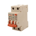 A2ZWORLD RCBO Interruttore Magnetotermico Differenziale Con Doppia Leva Tipo A Curva B 2P 2M 6000A 30mA, Diagnostica Visiva, B40A  AC 230V IP20 IEC61009-1 PL8M2
