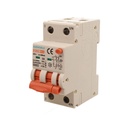 A2ZWORLD RCBO Interruttore Magnetotermico Differenziale Con Doppia Leva Tipo A Curva B 2P 2M 6000A 300mA, Diagnostica Visiva, B16A  AC 230V IP20 IEC61009-1 PL8M2